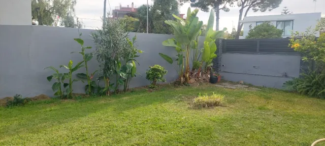 Trabajos de Jardinería, Pintura,  Mantenimiento...