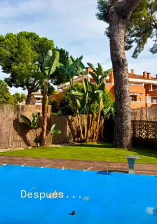 Trabajos de Jardinería, Pintura,  Mantenimiento...