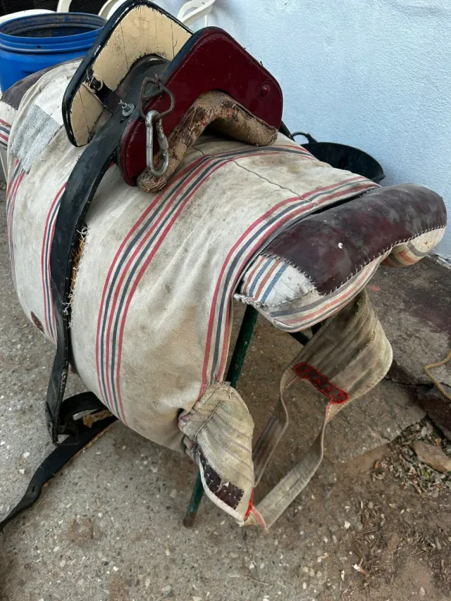 Arreos para mulo o burro