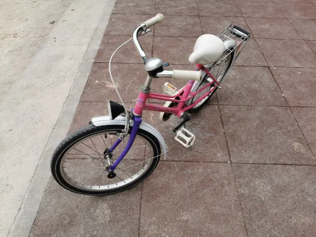 Bicicleta infantil 20 pulgadas