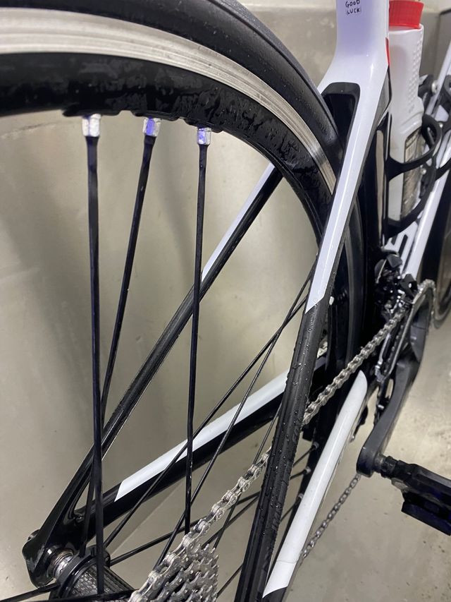 Llanta Campagnolo Shamal Ultra C17