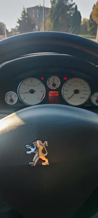 Peugeot 407 2010