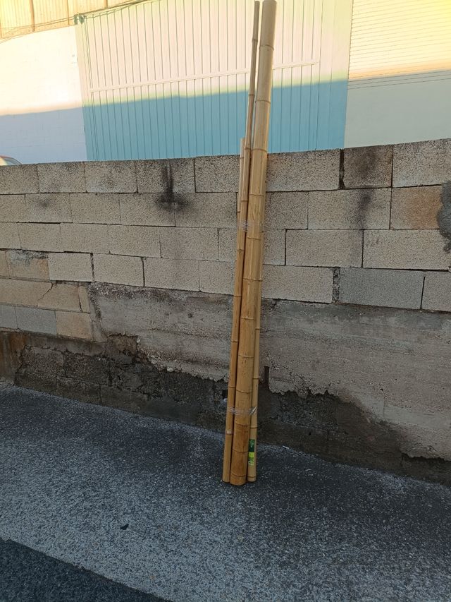 Palos de bambú