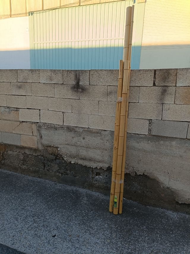 Palos de bambú