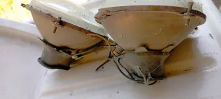 Coppia Fari Rotondi 500 d'Epoca