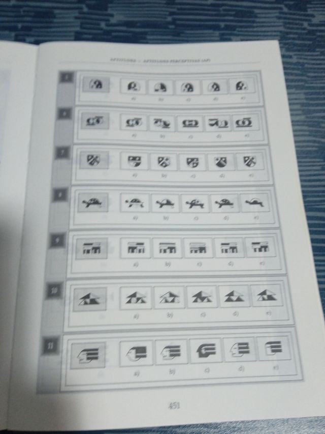 PRUEBAS PSICOTÉCNICAS