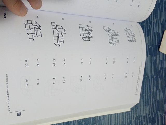 Pruebas psicotecnicas (Spanish Edition)