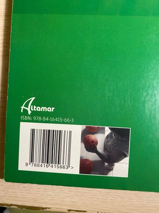 Desenvolupament cognitiu i motriu