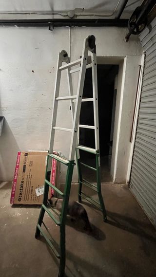 Escalera transformable telescopica