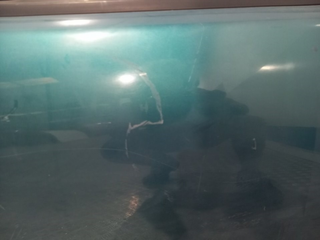 PUERTA TRASERA DERECHA VOLVO S40 BERLINA