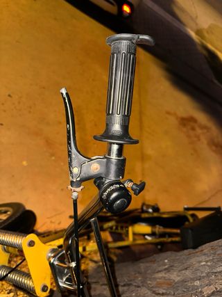 Bicicleta Panther Derbi Mediana vintage