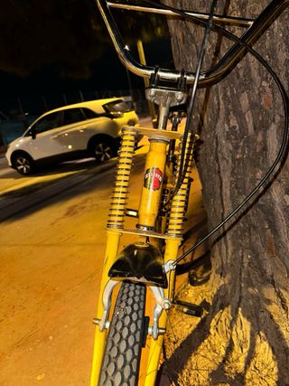 Bicicleta Panther Derbi Mediana vintage