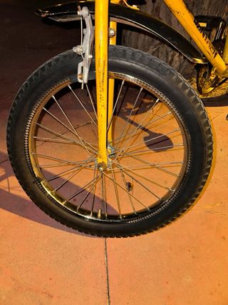 Bicicleta Panther Derbi Mediana vintage