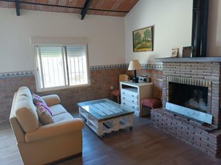Casa de campo 3 hectareas y media de terreno.
