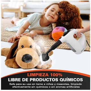 Limpiador de vapor portátil SXHY