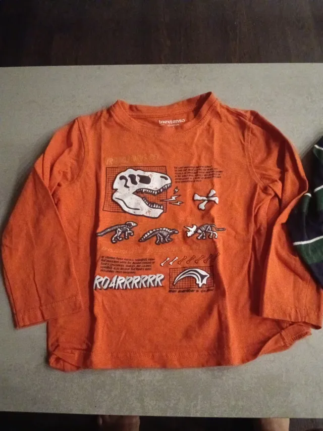 Lote varias prendas niño 3-4 años.