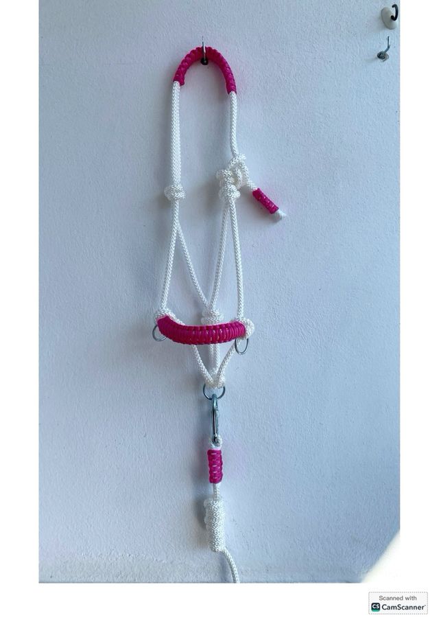 cabezada de caballos
