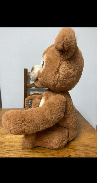 Oso Interactivo FurReal Friends Cubby