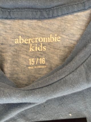 Abercrombie & Fitch Camiseta Manga Larga Degradado