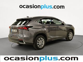 Lexus NX 300h Business 2WD 145 kW (197 CV)