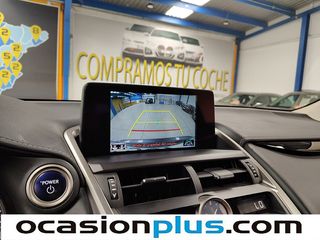 Lexus NX 300h Business 2WD 145 kW (197 CV)