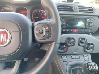 Fiat Panda City Life Hybrid 1.0 Gse 51kw (70CV)