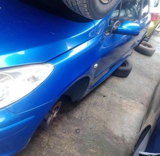 Despiece Peugeot 307