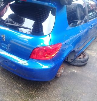 Despiece Peugeot 307