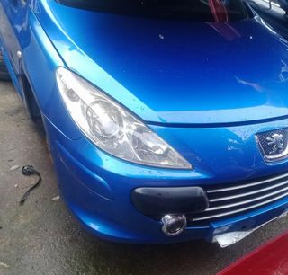 Despiece Peugeot 307