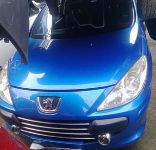 Despiece Peugeot 307