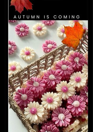 Candele margherita in cera di soia