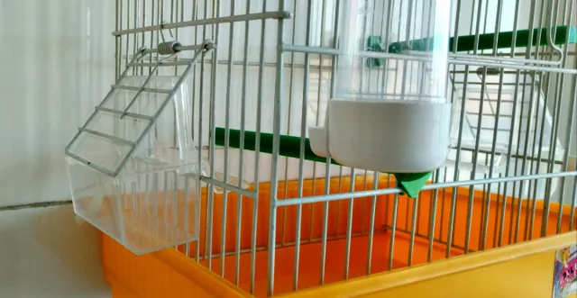 Jaula para pájaros con comedero y bebedero