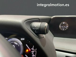 Lexus UX 2.0 250h Business