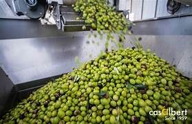 Instalación Solar Almazara 15000W