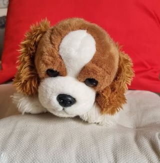 Peluche Cane DeCar Morbidelli 30 Cm