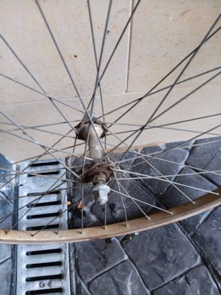 Rueda delantera bicicleta carretera