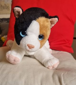 Peluche Gatto Gattino Venturelli 20 Cm