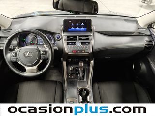 Lexus NX 300h Business 2WD 145 kW (197 CV)