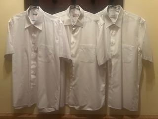 3 Camisas Blancas Manga Corta