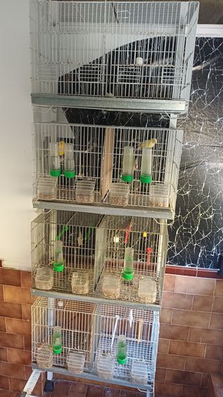 Carro con 4 jaulas para pájaros