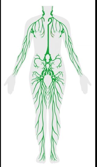 MASAJE RELAJANTE 
MASAJE DEPORTIVO 
DRENAJE LINFÁT