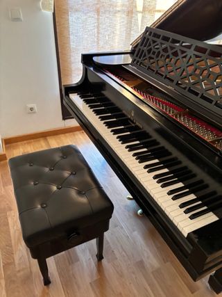 Piano de cola Steinway & Sons