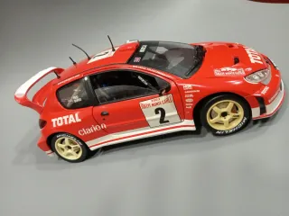 Peugeot 206 1/18 Rallye Monte-Carlo