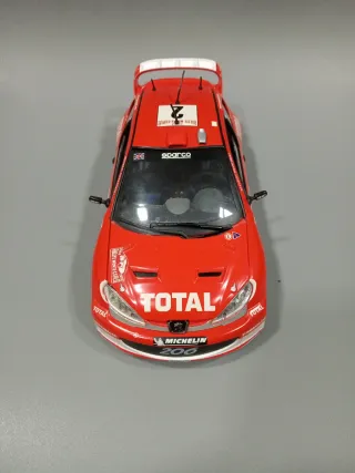 Peugeot 206 1/18 Rallye Monte-Carlo