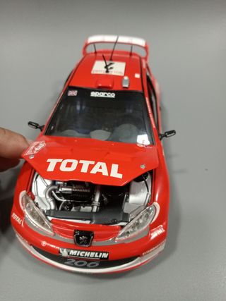 Peugeot 206 1/18 Rallye Monte-Carlo