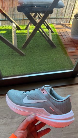 Zapatillas Nike Winflo 10 Running 