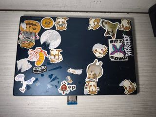 Ricambi per laptop Acer Chromebook Spin 513