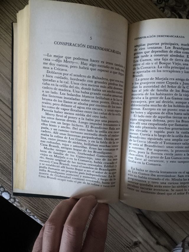 El Señor de los Anillos 1: La Comunidad del Anillo