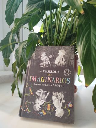 Libro "Los imaginarios"
