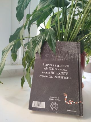 Libro "Los imaginarios"